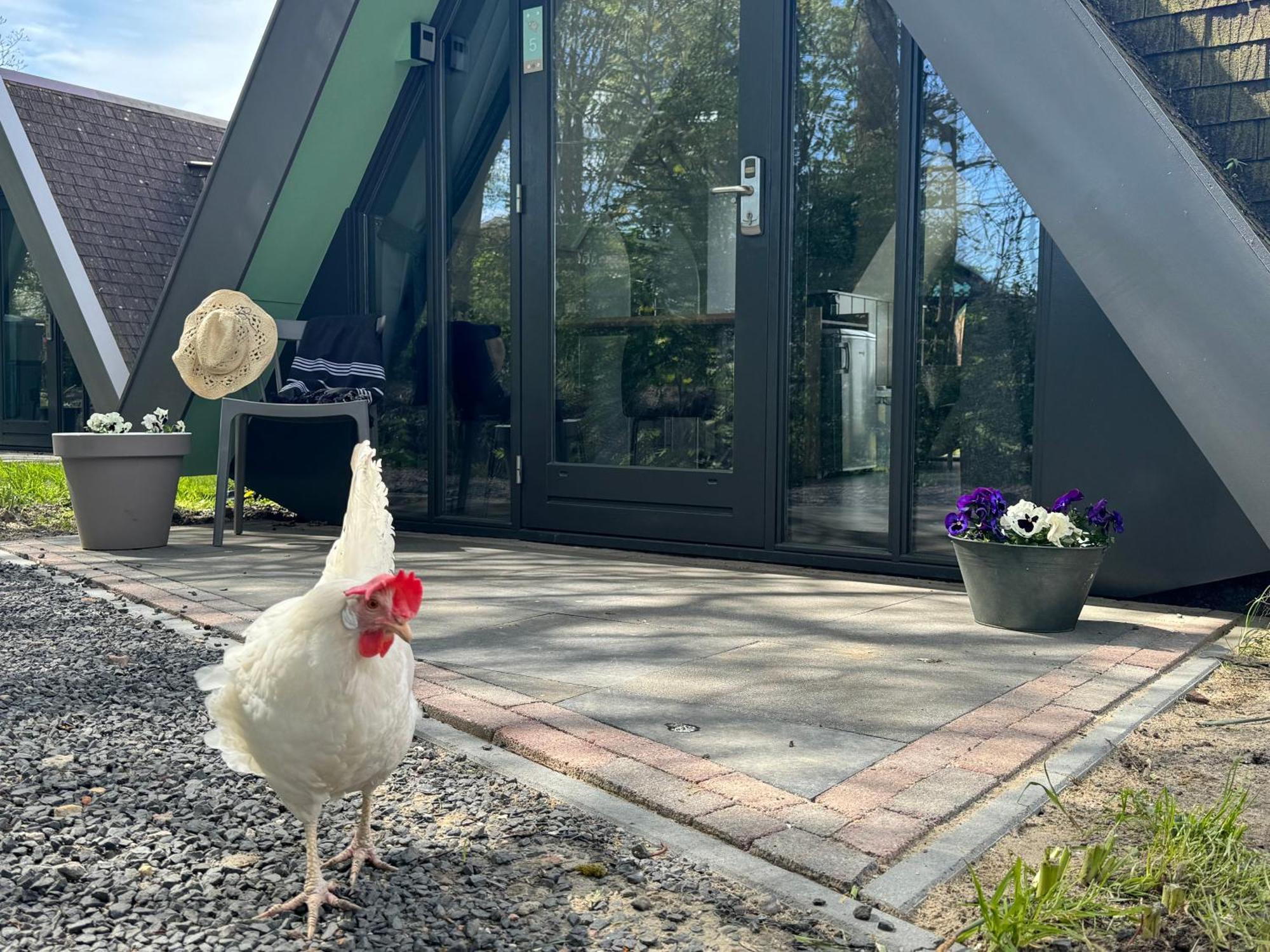 Hotelhuisjes Medemblik فيرينغْئِفيرف المظهر الخارجي الصورة