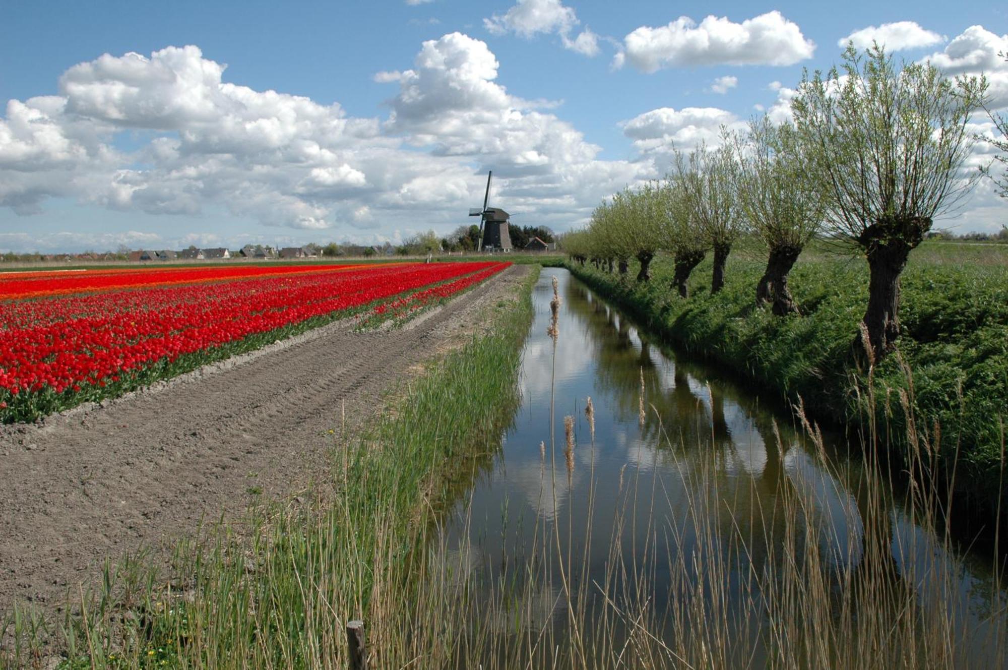 Hotelhuisjes Medemblik فيرينغْئِفيرف المظهر الخارجي الصورة