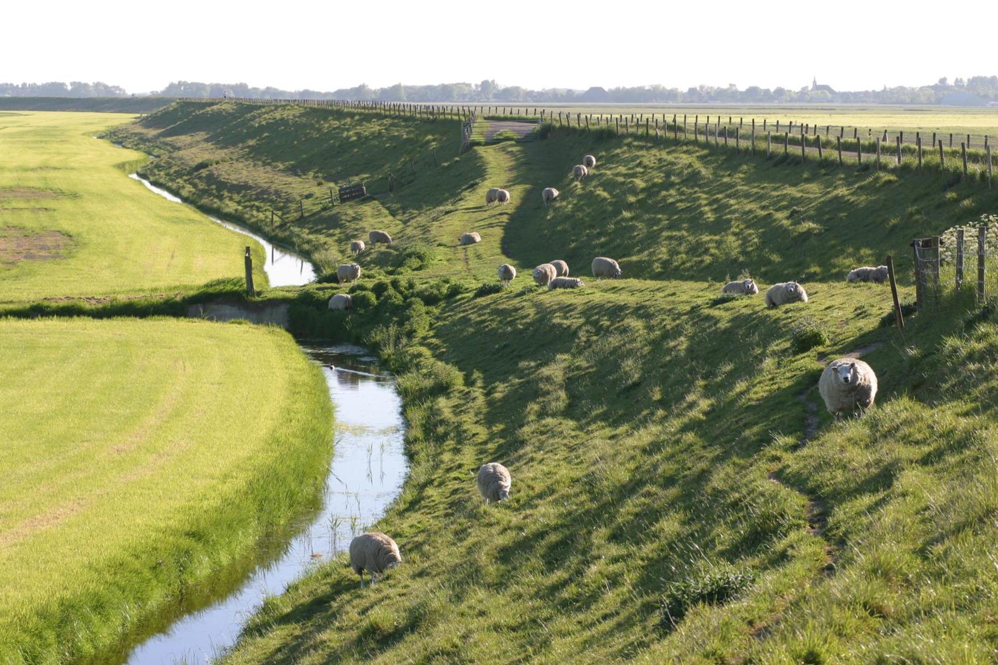 Hotelhuisjes Medemblik فيرينغْئِفيرف المظهر الخارجي الصورة